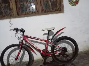 Tomahawk Mountain Bicycle Tyre Size 24