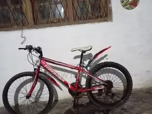 Tomahawk Mountain Bicycle Tyre Size 24
