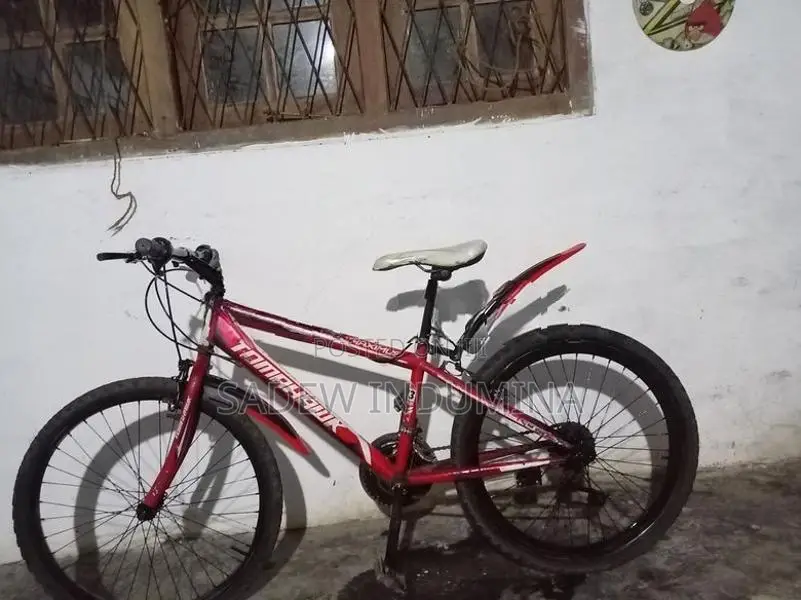 Tomahawk Mountain Bicycle Tyre Size 24