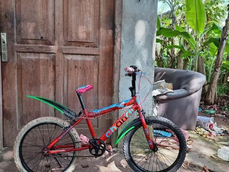 Tomahawk Kids BMX Bicycle