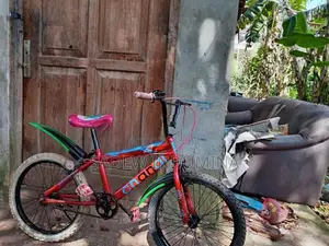 Tomahawk Kids BMX Bicycle