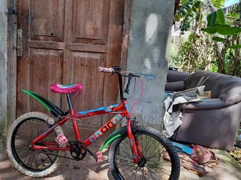 Tomahawk Kids BMX Bicycle