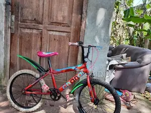 Tomahawk Kids BMX Bicycle