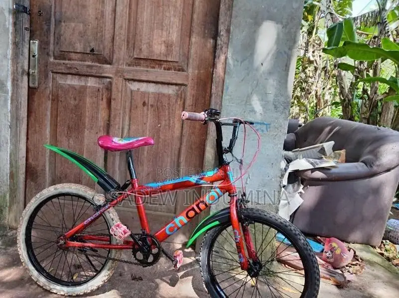 Tomahawk Kids BMX Bicycle