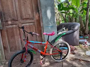 Tomahawk Kids BMX Bicycle