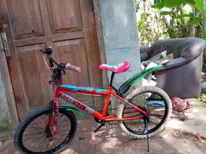 Tomahawk Kids BMX Bicycle