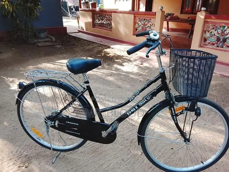 Ladies Bicycle