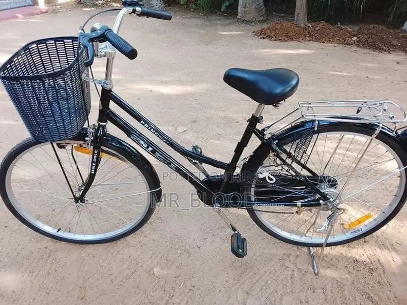 Ladies Bicycle