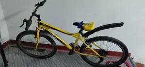 Push Bicycle