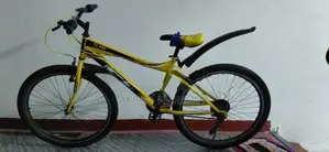 Push Bicycle