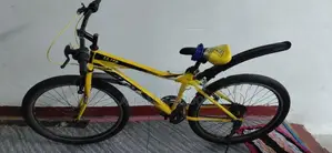 Push Bicycle
