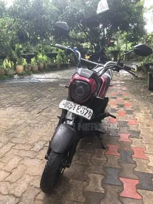 Honda Navi 2016 2017