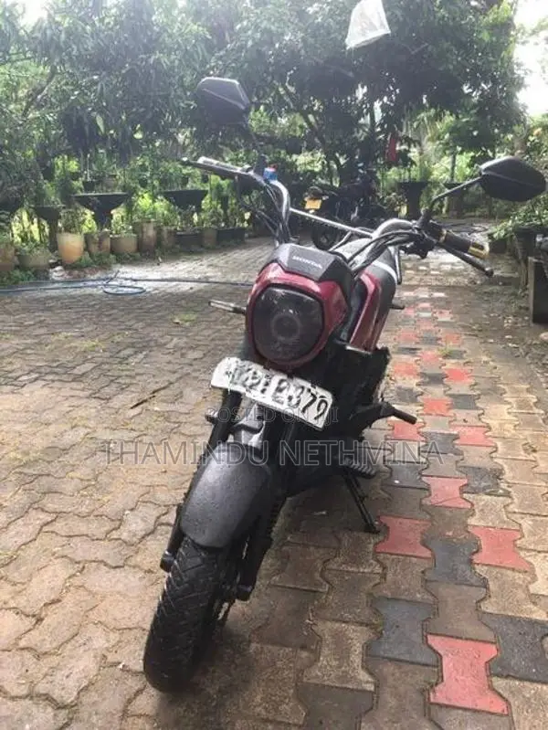 Honda Navi 2016 2017
