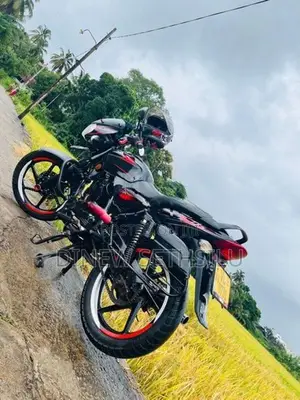 Bajaj Discover Discovery 135 2010