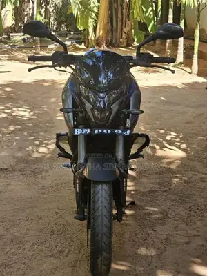 Bajaj Pulsar NS200 Gray 2025