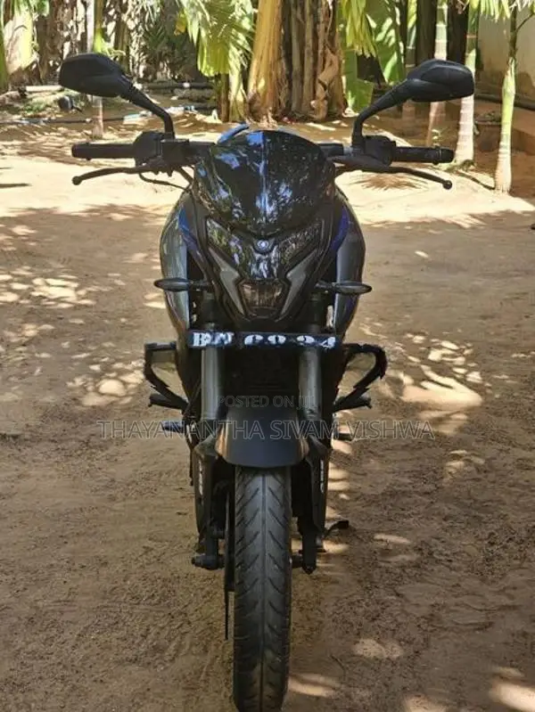 Bajaj Pulsar NS200 Gray 2025