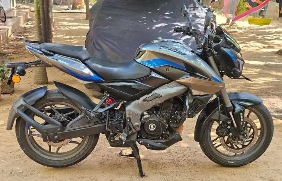 Bajaj Pulsar NS200 Gray 2025
