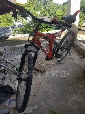 Japan Bicycle In