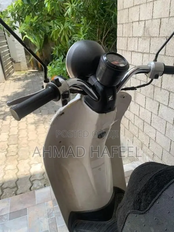 48 Cc 2019