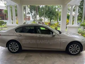 BMW 523i 2010