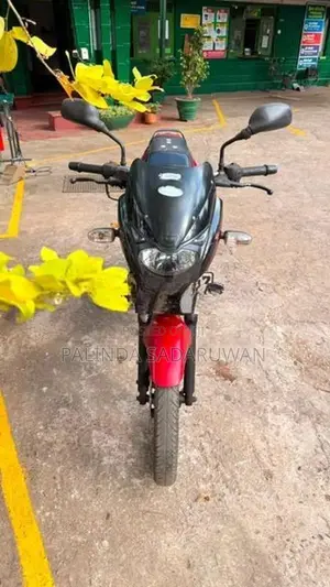 Bajaj Pulsar 150 2015