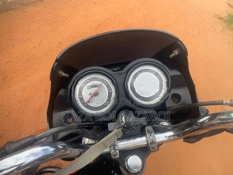 Bajaj Platina 2010
