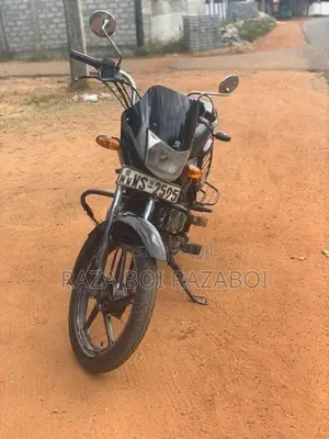 Bajaj Platina 2010