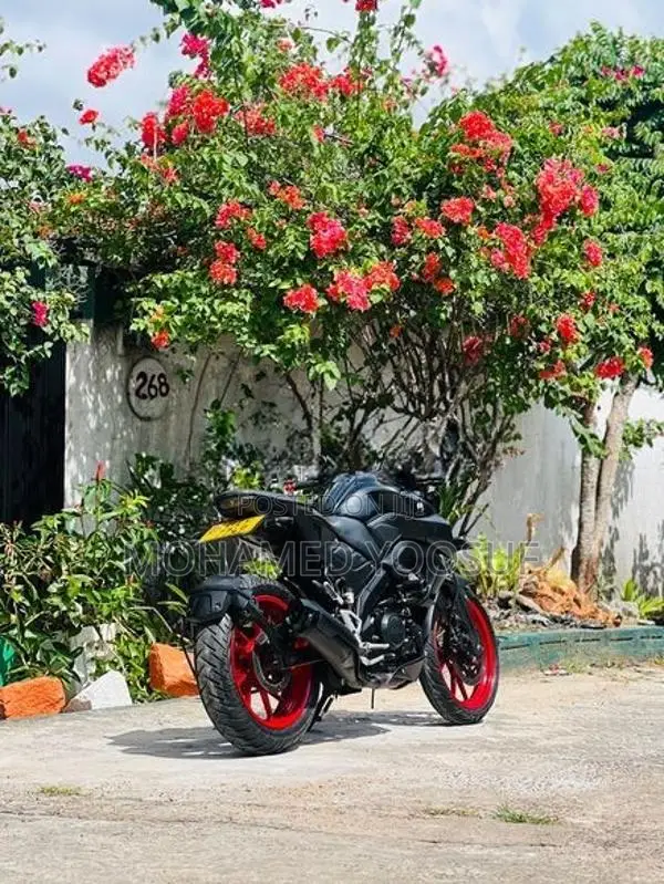 Yamaha MT 15 2019