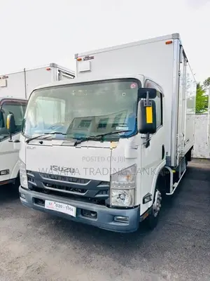 Isuzu Elf Full Frezzer Body 2017