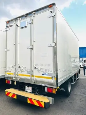 Isuzu Elf Full Frezzer Body 2017