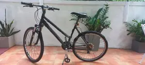 Trek Skye Mountain Bike