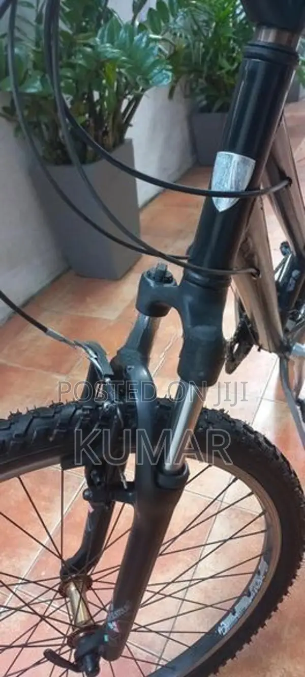 Trek Skye Mountain Bike