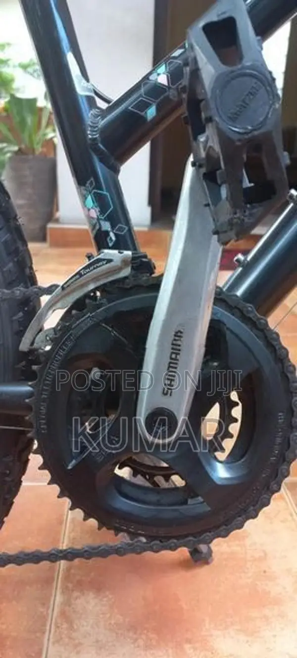 Trek Skye Mountain Bike