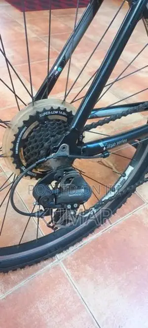 Trek Skye Mountain Bike