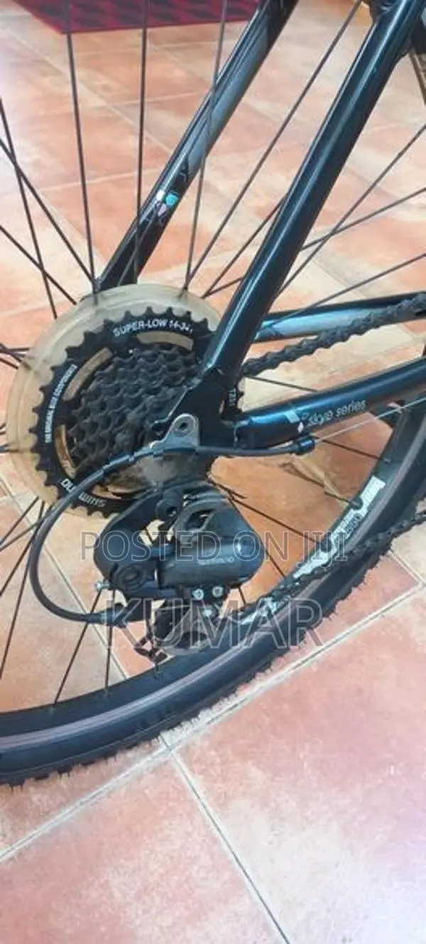 Trek Skye Mountain Bike