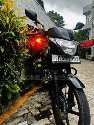 Bajaj Pulsar 135 2013