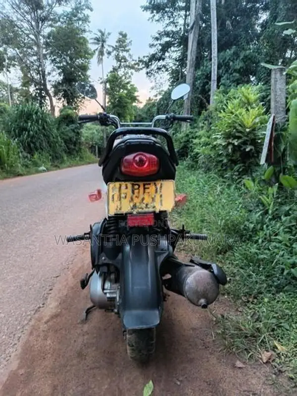 Honda Navi 2017