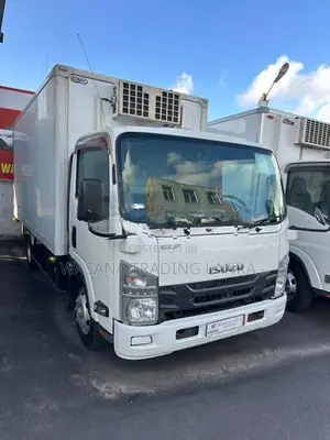 Isuzu Elf Freezer 2016