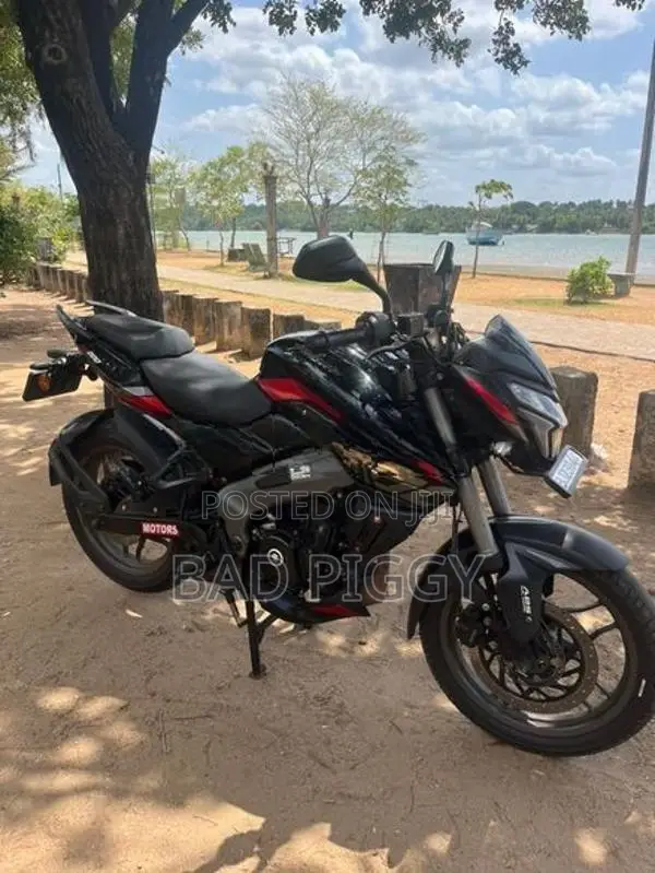 Bajaj Pulsar NS200 2025