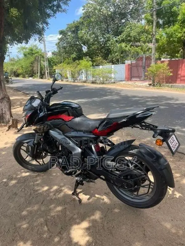 Bajaj Pulsar NS200 2025