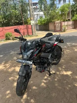 Bajaj Pulsar NS200 2025