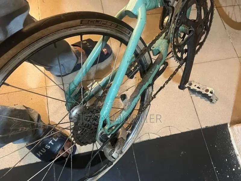 Bianchi Sports Model Bicycle