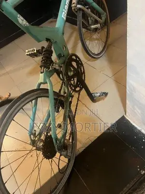 Bianchi Sports Model Bicycle
