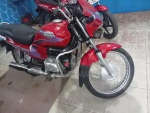 Hero Splendor 2010