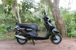 Hero Pleasure 2011