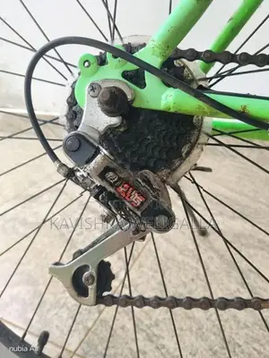 Lumala Bicycle