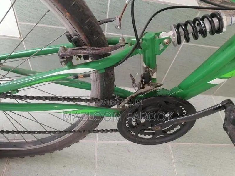 Milo Energy Mountain Bicycle