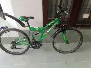Milo Energy Mountain Bicycle