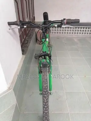 Milo Energy Mountain Bicycle