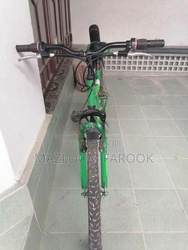 Milo Energy Mountain Bicycle